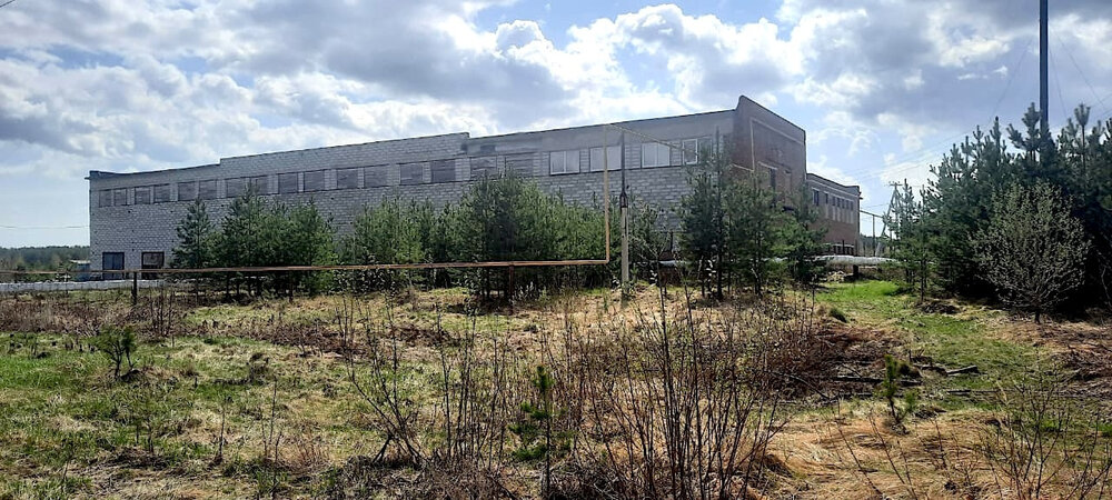 г. Асбест, ул. п. Лесозавод, 24 (городской округ Асбестовский) - фото промышленного объекта (1)