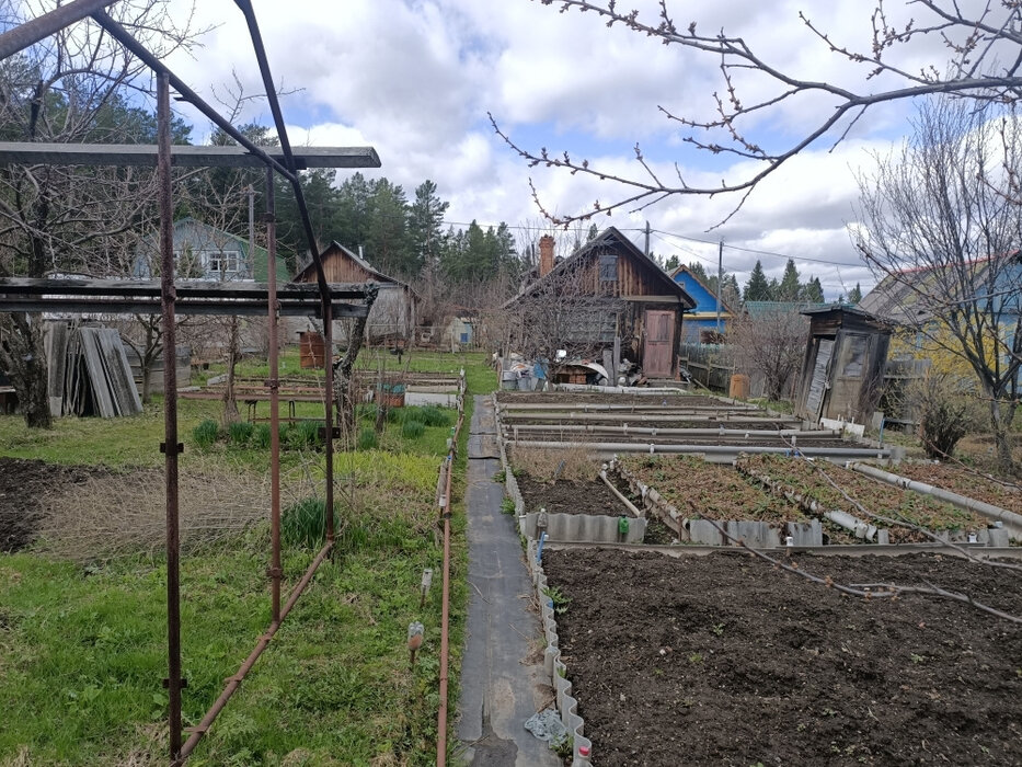 г. Ревда, садово-огородническое товарищество № 7 СУМЗа (городской округ Ревда) - фото сада (6)