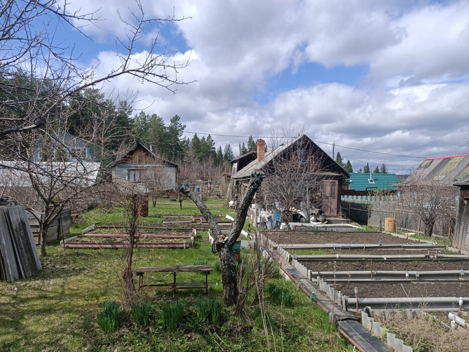 г. Ревда, садово-огородническое товарищество № 7 СУМЗа (городской округ Ревда) - фото сада (8)