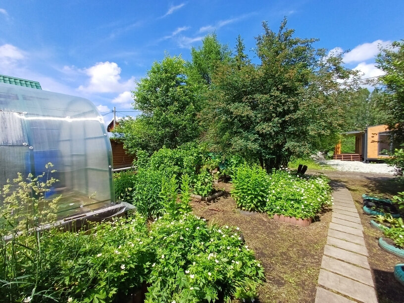 п. Кедровка, ТСН ОРГРЭС (городской округ Березовский) - фото сада (3)