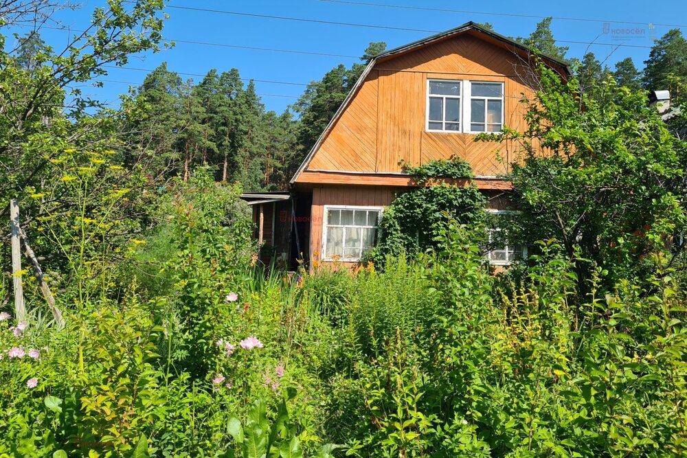 Екатеринбург, СТ Орбита - фото сада (2)