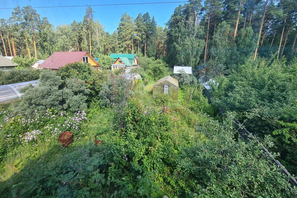 Екатеринбург, СТ Орбита - фото сада (4)