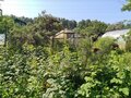 Продажа садового участка: Екатеринбург, СТ Орбита - Фото 8