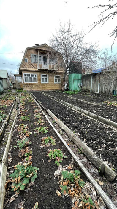 п. Большой Исток, СНТ Архитектор, уч. 2 уч.31 (городской округ Сысертский) - фото сада (1)
