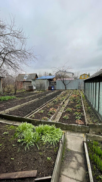 п. Большой Исток, СНТ Архитектор, уч. 2 уч.31 (городской округ Сысертский) - фото сада (2)