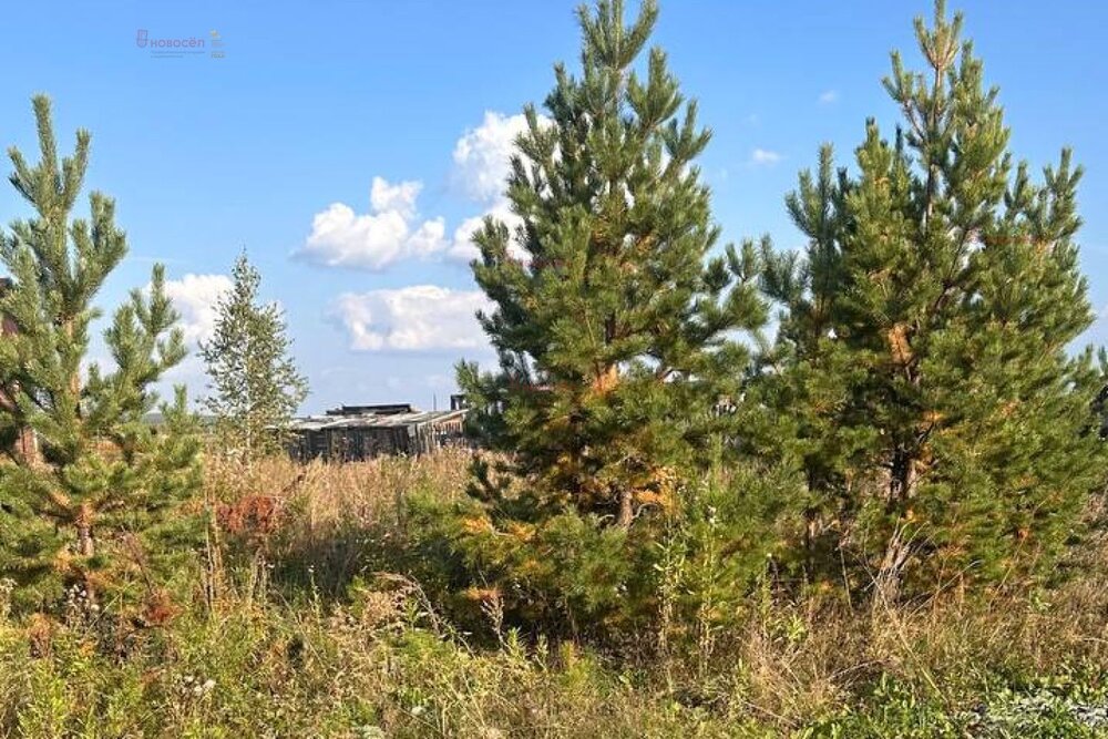 п. Бобровский, ул. Краснодеревцев (городской округ Сысертский) - фото земельного участка (6)