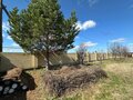 Продажа земельного участка: п. Рассоха, ул. Уральская, 9 (городской округ Белоярский) - Фото 4