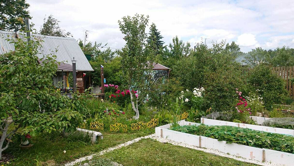 п. Крутой, СНТ Калининец № 6, уч. 263 (городской округ Верхняя Пышма) - фото сада (4)