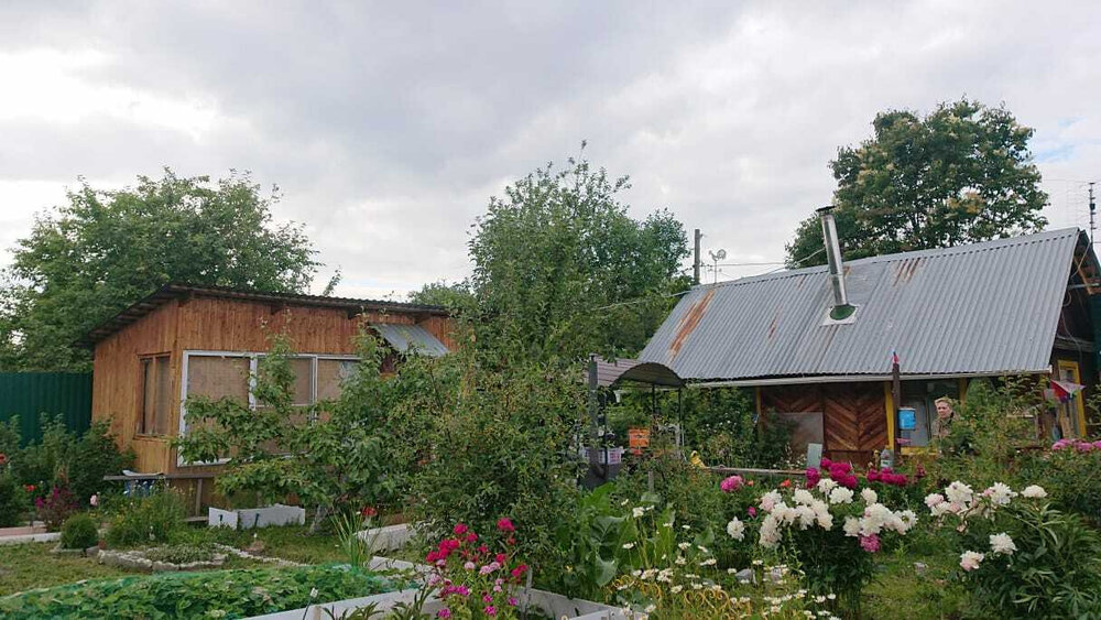п. Крутой, СНТ Калининец № 6, уч. 263 (городской округ Верхняя Пышма) - фото сада (5)