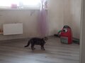 Продажа квартиры: Екатеринбург, ул. Родонитовая , 22 (Ботанический) - Фото 5
