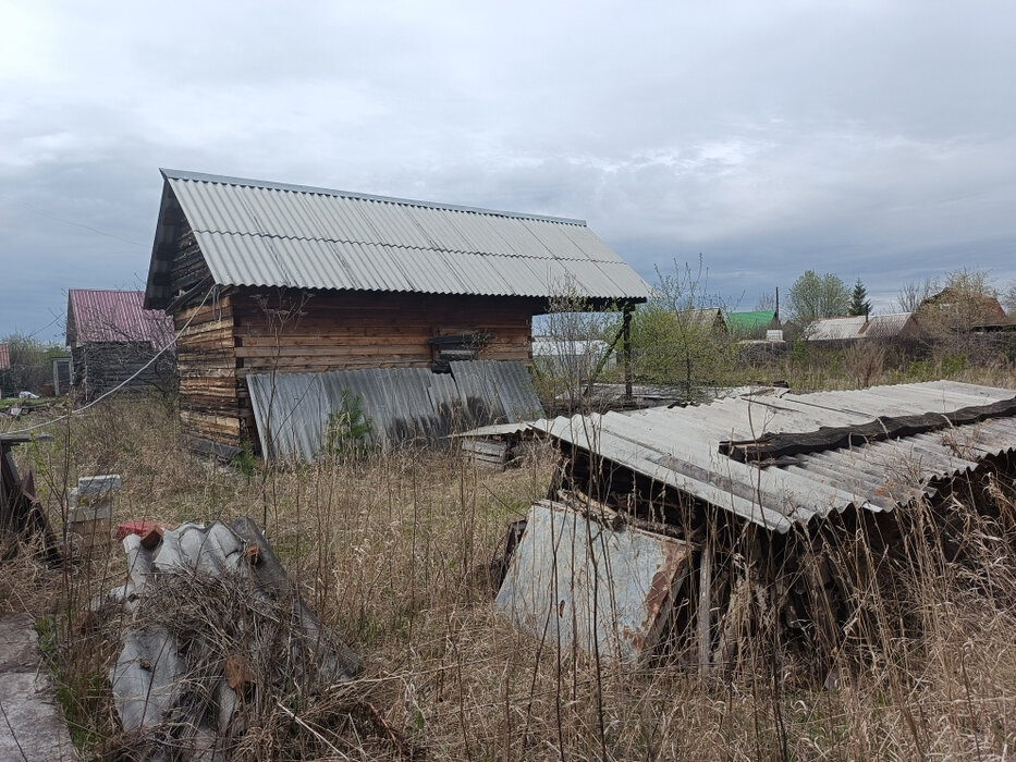 п. Хризолитовый, СНТ Ветеран-95 (городской округ Белоярский) - фото сада (5)