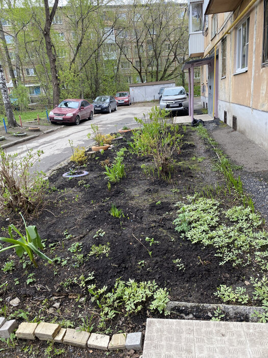 Екатеринбург, ул. Посадская, 49 (Юго-Западный) - фото квартиры (1)