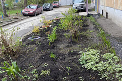 Екатеринбург, ул. Посадская, 49 (Юго-Западный) - фото квартиры