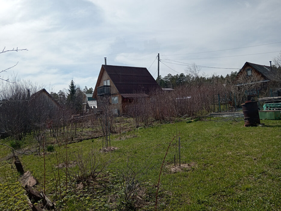 г. Дегтярск, коллективный сад № 2 , уч. 262 (городской округ Город Дегтярск) - фото сада (4)