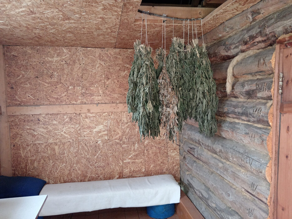 г. Дегтярск, коллективный сад № 2 , уч. 262 (городской округ Город Дегтярск) - фото сада (8)