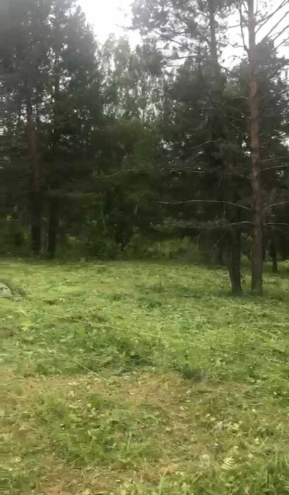 г. Дегтярск, ул. Шуры Екимовой (городской округ Город Дегтярск) - фото земельного участка (2)