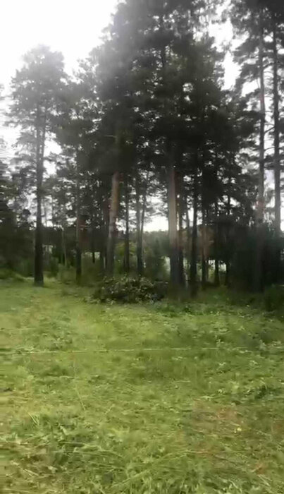 г. Дегтярск, ул. Шуры Екимовой (городской округ Город Дегтярск) - фото земельного участка (3)