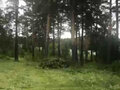 Продажа земельного участка: г. Дегтярск, ул. Шуры Екимовой (городской округ Город Дегтярск) - Фото 3