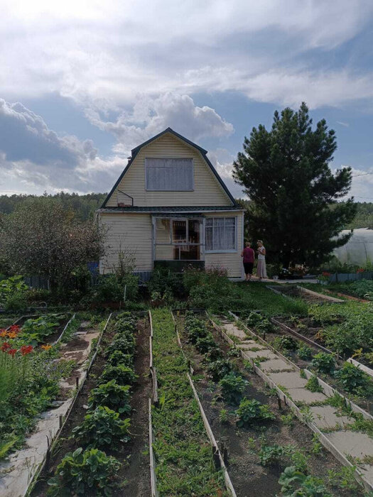 Екатеринбург, к/с Дружба - фото сада (1)