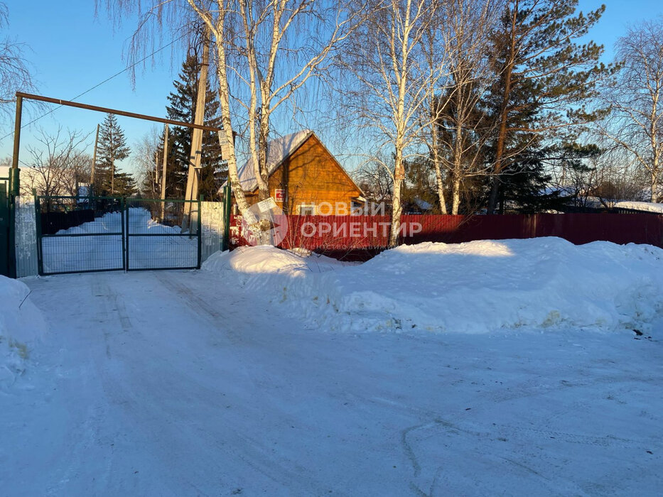 Екатеринбург - фото сада (1)