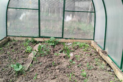 п. Курорт Самоцвет (городской округ Алапаевский) - фото земельного участка