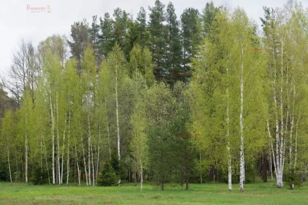 г. Березовский, ул. Театральная (городской округ Березовский) - фото земельного участка (3)