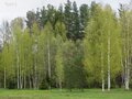 Продажа земельного участка: г. Березовский, ул. Театральная (городской округ Березовский) - Фото 3