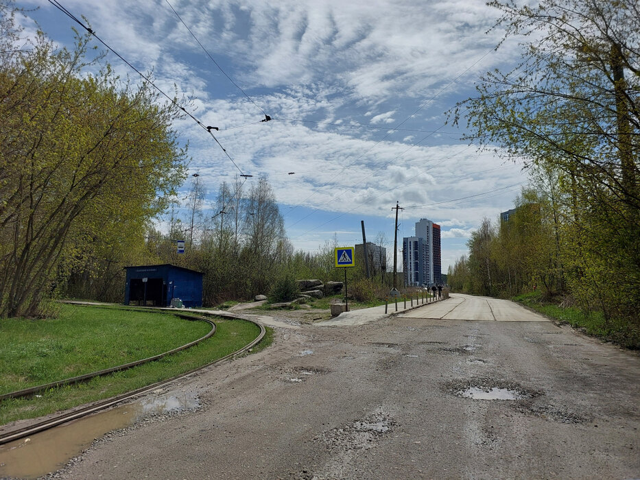 Екатеринбург, ул. Зеленый остров, 14 (ВИЗ) - фото квартиры (2)