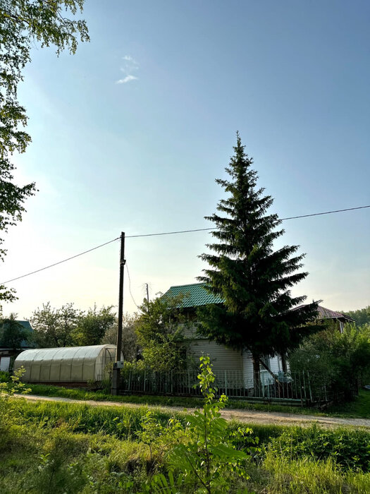 п. Зеленый бор, СНТ Виктория, уч. 278 (городской округ Верхняя Пышма) - фото сада (6)