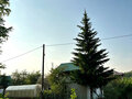 Продажа садового участка: п. Зеленый бор, СНТ Виктория, уч. 278 (городской округ Верхняя Пышма) - Фото 6