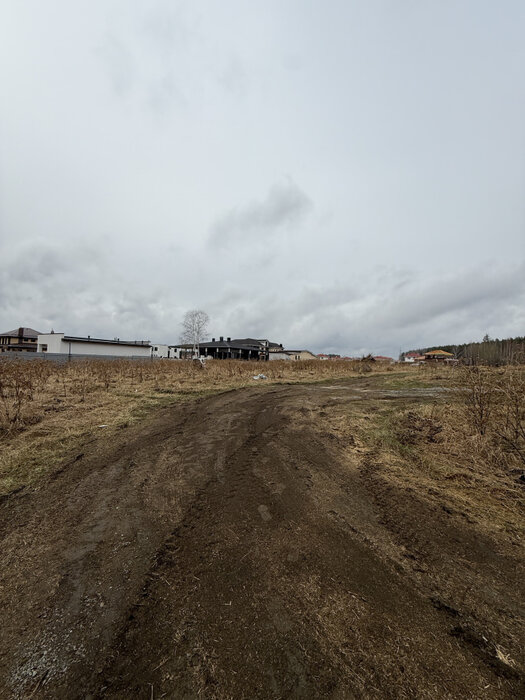к.п. Золотая горка, уч. 184 (городской округ Среднеуральск, д. Коптяки) - фото земельного участка (4)