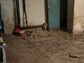 Аренда торговой площади: Екатеринбург, ул. Татищева, 102 (ВИЗ) - Фото 4