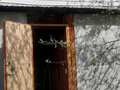 Продажа садового участка: п. Гагарский, коллективный сад Гагарский (городской округ Белоярский) - Фото 4