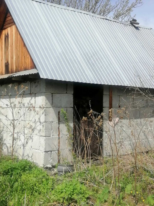 п. Гагарский, коллективный сад Гагарский (городской округ Белоярский) - фото сада (5)