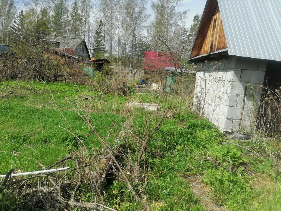 п. Гагарский, коллективный сад Гагарский (городской округ Белоярский) - фото сада (8)
