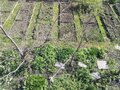 Продажа садового участка: п. Решеты, снт Архитектор , уч. 102 (городской округ Первоуральск) - Фото 8