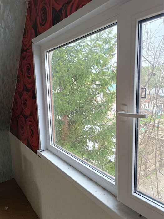Екатеринбург, снт. Шинник, уч. 1 Зеленый Бор,52 (Елизавет) - фото сада (7)