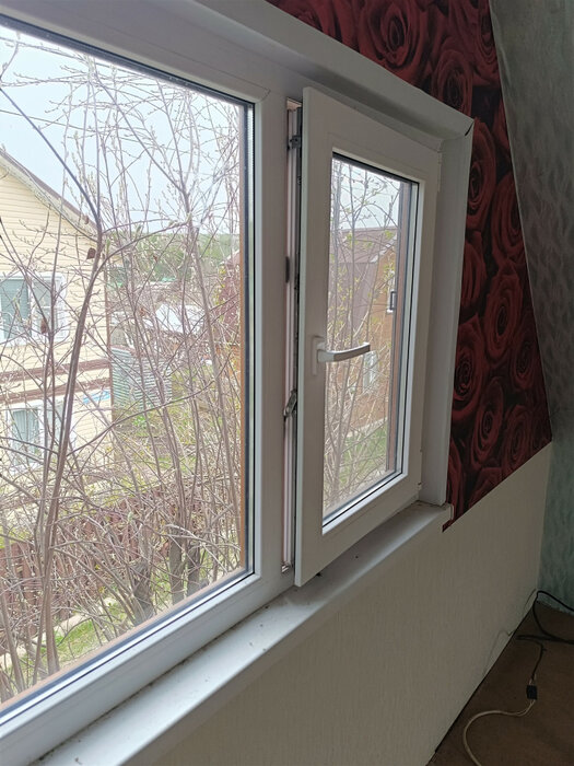Екатеринбург, снт. Шинник, уч. 1 Зеленый Бор,52 (Елизавет) - фото сада (8)