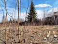 Продажа земельного участка: п. Большой Исток, ул. Трудовая, 35 (городской округ Сысертский) - Фото 4