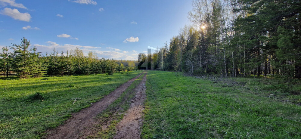 к.п. Чистые росы-2 (городской округ Белоярский) - фото земельного участка (1)