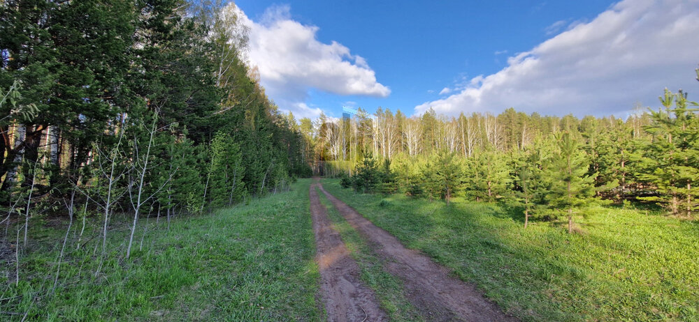 к.п. Чистые росы-2 (городской округ Белоярский) - фото земельного участка (2)