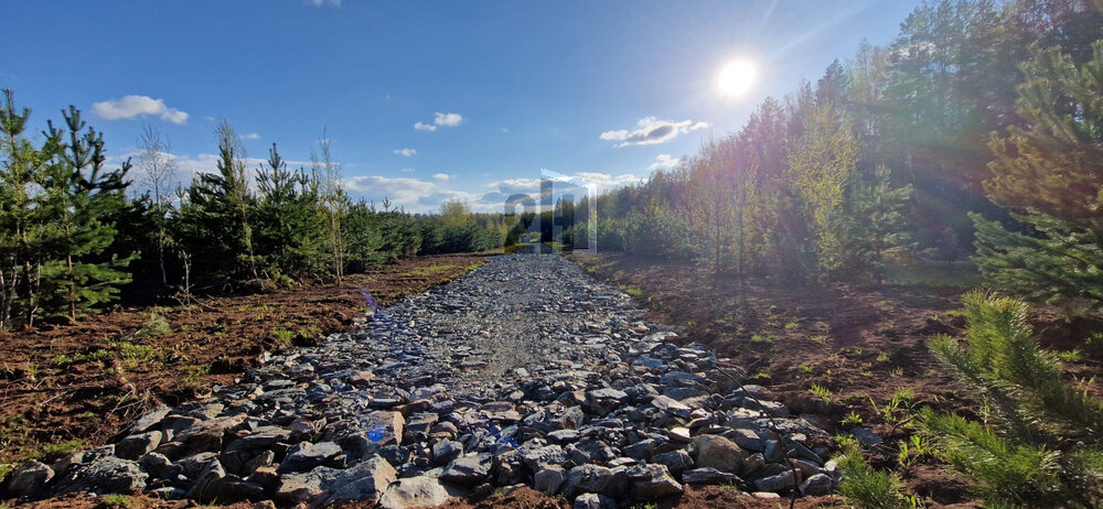 к.п. Чистые росы-2 (городской округ Белоярский) - фото земельного участка (4)