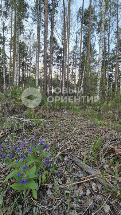 п. Полевой, ул. Боровая, 18 (городской округ Сысертский) - фото земельного участка (1)