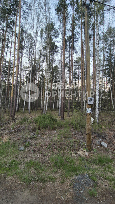 п. Полевой, ул. Боровая, 18 (городской округ Сысертский) - фото земельного участка (3)