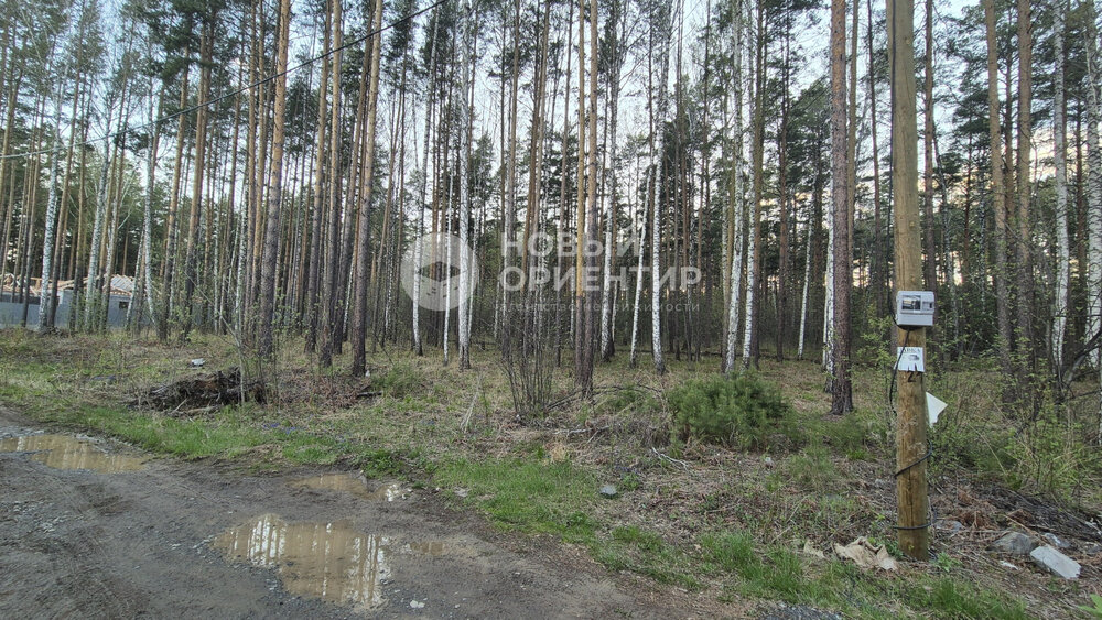 п. Полевой, ул. Боровая, 18 (городской округ Сысертский) - фото земельного участка (4)
