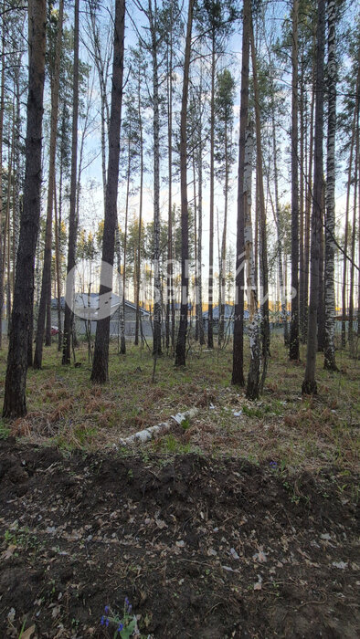п. Полевой, ул. Боровая, 18 (городской округ Сысертский) - фото земельного участка (5)