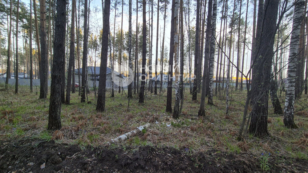 п. Полевой, ул. Боровая, 18 (городской округ Сысертский) - фото земельного участка (6)
