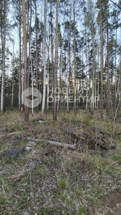 п. Полевой, ул. Боровая, 18 (городской округ Сысертский) - фото земельного участка (7)