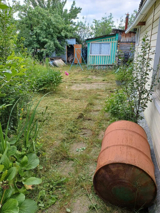 Екатеринбург, коллективный сад № 11 БЗСК, уч. 3 (Калиновский) - фото сада (4)