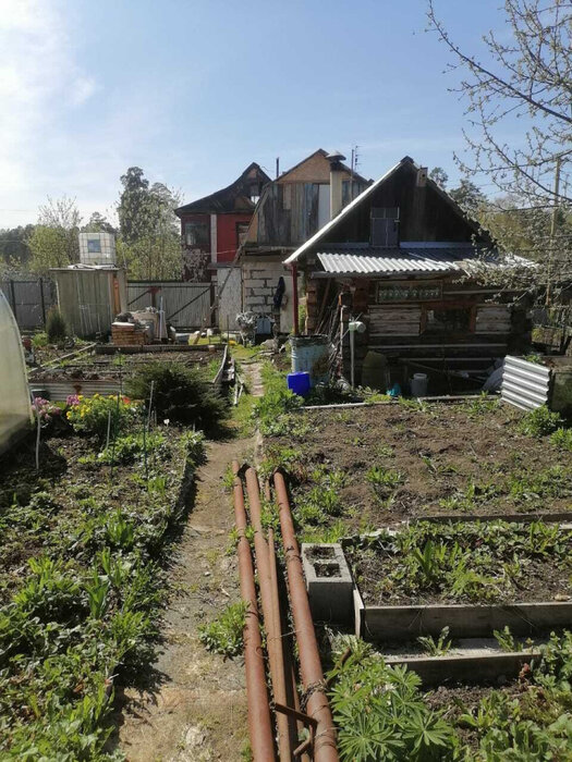 г. Заречный, снт Юбилейный, участок №12 (городской округ Заречный) - фото сада (3)